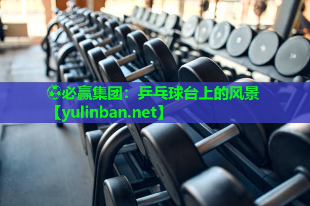 ⚽必赢集团：乒乓球台上的风景
